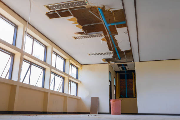 Best Water damage restoration insurance claims  in Winthrop Harbor, IL