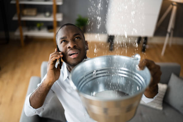 Best Commercial water damage restoration  in Winthrop Harbor, IL
