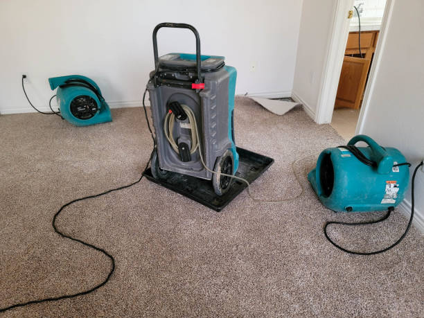 Best Sewage cleanup and water damage restoration  in Winthrop Harbor, IL