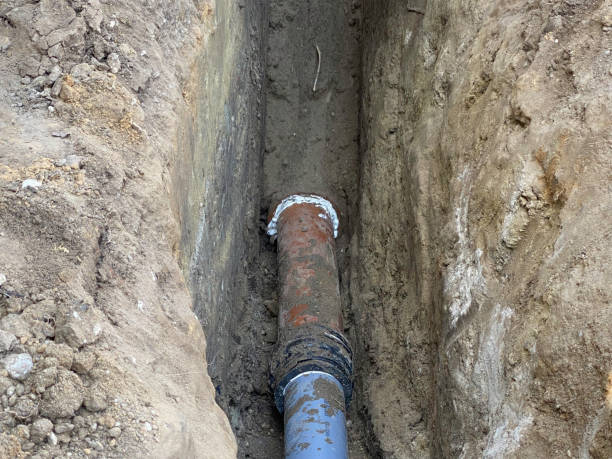Best Basement water damage restoration  in Winthrop Harbor, IL