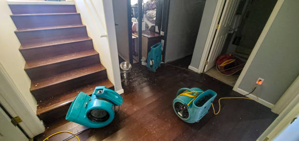  Winthrop Harbor, IL Water damage restoration Pros