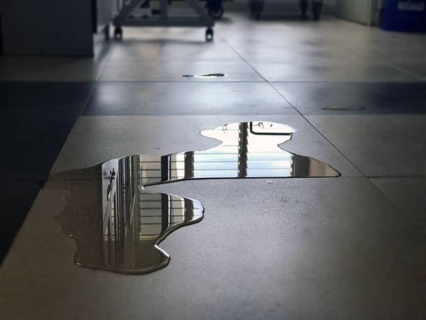 Best Carpet water damage restoration  in Winthrop Harbor, IL