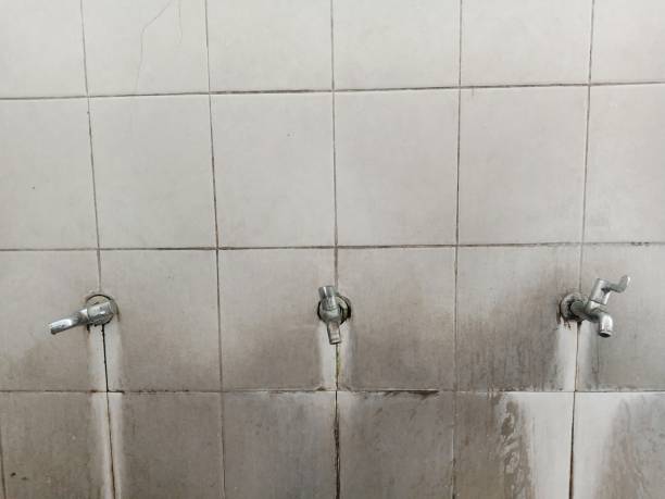 Best Sewage cleanup and water damage restoration  in Winthrop Harbor, IL