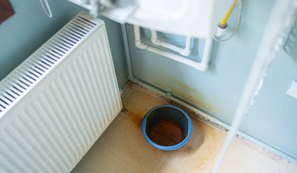 Best Water damage restoration company  in Winthrop Harbor, IL