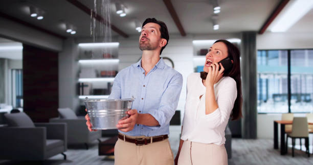 Best Residential water damage restoration  in Winthrop Harbor, IL