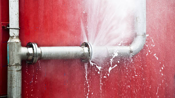 Best Water damage restoration near me  in Winthrop Harbor, IL